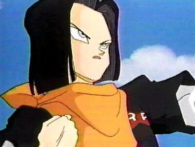 Android on Blog Raging Gohan Future Gohan Vs Future Android 17   Dragon Ball Wiki