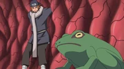 Frog Conversion Technique2