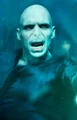 Voldemort Cropped.JPG