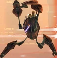 WinduRidesAgain-TCWRHPrima.jpg