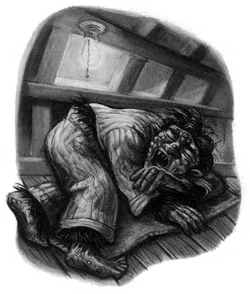HP7-chapitre06 NB