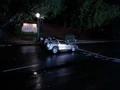 Startingline-bluebirdmotel.jpg