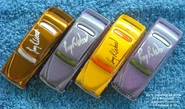 Larry Wood Passions Auto