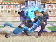 Lucario13