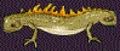 Double-ended Newt.jpg