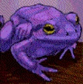 Giant Purple ToadPoA.jpg