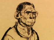 Concept Art77