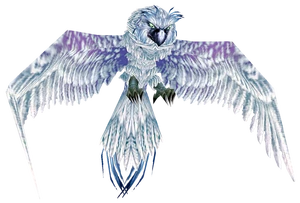 OwlWhite