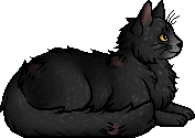 Die WindClan-Chroniken Graypool.elder