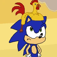 Sonicchickenhat