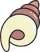 Secret Seashell