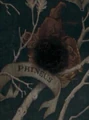 Phineas Black II.JPG