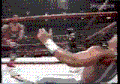 X-Pac Bronco Buster.gif