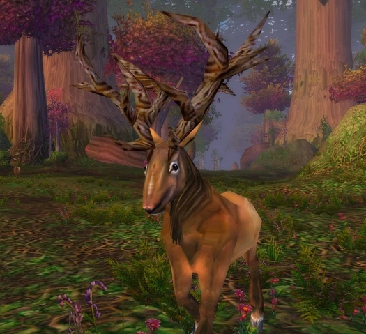 File:Wild Buck.JPG