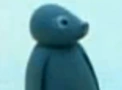 Robby the Seal