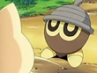 EP431 Seedot (2)