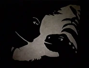 ShadowsHalloween04