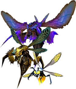 Wasp