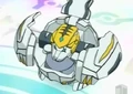 Tigerra Ball