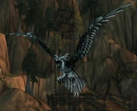 Image of Fjord Crow