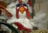 Floydchicken