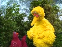 Tellyscaredtoplaytriangle.jpg