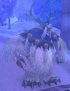 Guardian of Elune