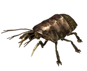 RadroachTactics