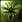Spell-FlyingSwarm icon