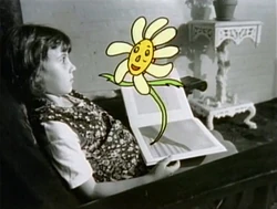 Surpriseflower