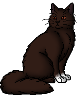 Die WindClan-Chroniken Whiteclaw.warrior