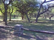 Parque tau