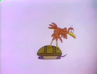 BirdFrontBack.jpg
