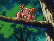 EP099 Paras