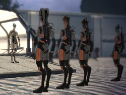 Virmire salarians
