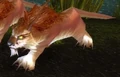 Amani Lynx.jpg