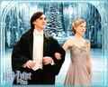 Bal de Noel1.jpg