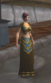 Windchaser Robes