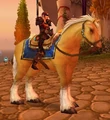Palomino.jpg