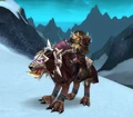 Swift Burgundy Wolf.jpg