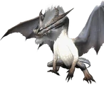 White Fatalis