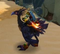 Black Hawkstrider.jpg
