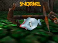 Snorkel