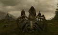 Aragog's funeral 2.jpg