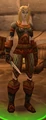 Theramore Sentry old high elf.jpg