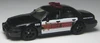 09PoliceCrownVic