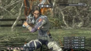 Kaim-combat-01.jpg