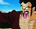 Hercule1