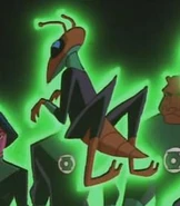 Xax DCAU 001