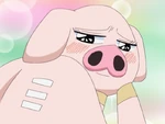Pig Door